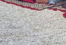 Prespavali su na plaži kod Splita i postali hit na društvenim mrežama, odmah će vam biti jasno zašto