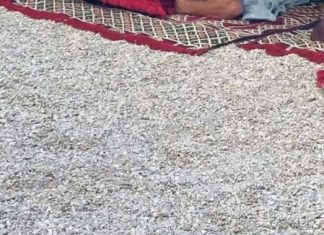 Prespavali su na plaži kod Splita i postali hit na društvenim mrežama, odmah će vam biti jasno zašto