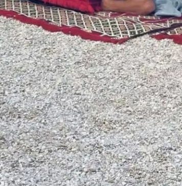 Prespavali su na plaži kod Splita i postali hit na društvenim mrežama, odmah će vam biti jasno zašto