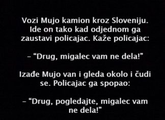 VIC DANA: Vozi Mujo kamion VIC DANA: Vozi Mujo kamion - featured image