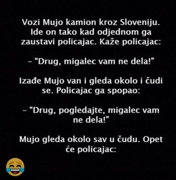 VIC DANA: Vozi Mujo kamion VIC DANA: Vozi Mujo kamion - featured image