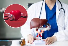 Masna jetra povećava rizik od srčanog udara: Novo istraživanje otkrilo zabrinjavajuću vezu Masna jetra povećava rizik od srčanog udara: Novo istraživanje otkrilo zabrinjavajuću vezu - featured image