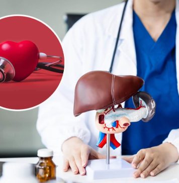 Masna jetra povećava rizik od srčanog udara: Novo istraživanje otkrilo zabrinjavajuću vezu Masna jetra povećava rizik od srčanog udara: Novo istraživanje otkrilo zabrinjavajuću vezu - featured image