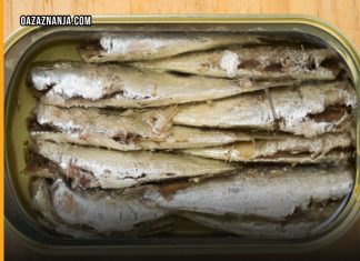 EVO ŠTA STE SVE UNIJELI U ORGANIZAM SA SAMO JEDNOM KONZERVOM SARDINE: Poslije ovog ćete dobro razmisliti EVO ŠTA STE SVE UNIJELI U ORGANIZAM SA SAMO JEDNOM KONZERVOM SARDINE: Poslije ovog ćete dobro razmisliti - featured image