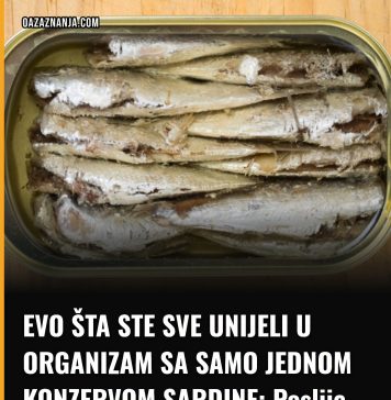 EVO ŠTA STE SVE UNIJELI U ORGANIZAM SA SAMO JEDNOM KONZERVOM SARDINE: Poslije ovog ćete dobro razmisliti EVO ŠTA STE SVE UNIJELI U ORGANIZAM SA SAMO JEDNOM KONZERVOM SARDINE: Poslije ovog ćete dobro razmisliti - featured image
