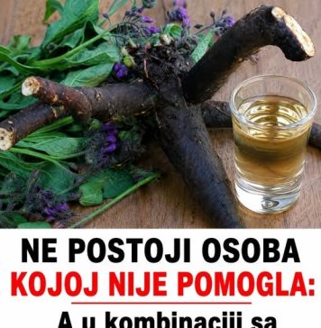 NE POSTOJI OSOBA KOJOJ NIJE POMOGLA! A u kombinaciji sa rakijom, moć ove biljke nema granice! NE POSTOJI OSOBA KOJOJ NIJE POMOGLA! A u kombinaciji sa rakijom, moć ove biljke nema granice! - featured image