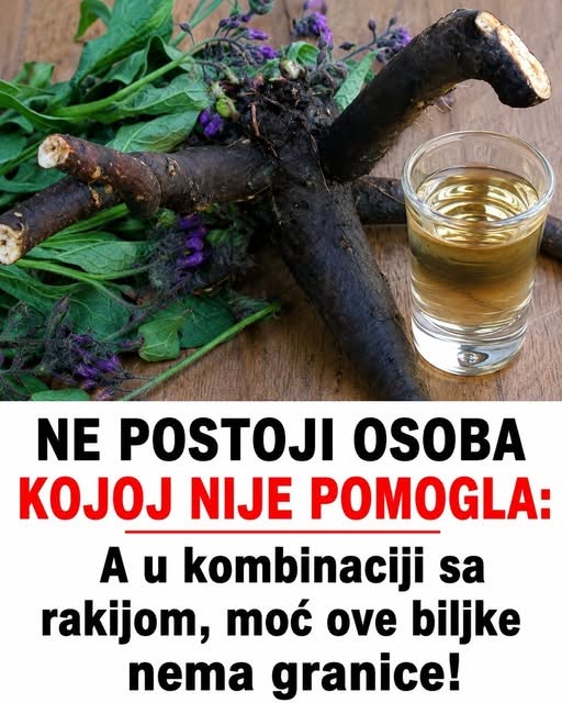 NE POSTOJI OSOBA KOJOJ NIJE POMOGLA! A u kombinaciji sa rakijom, moć ove biljke nema granice! - featured image