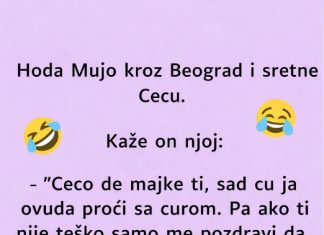VIC: Mujo sretne Cecu VIC: Mujo sretne Cecu - featured image