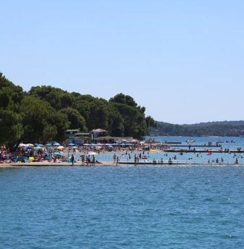U plićaku Jadrana viđeno opasno stvorenje: Približilo se popularnoj plaži, upozorenje za turiste i kupače U plićaku Jadrana viđeno opasno stvorenje: Približilo se popularnoj plaži, upozorenje za turiste i kupače - featured image