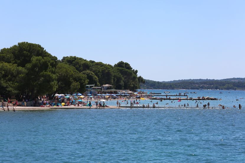U plićaku Jadrana viđeno opasno stvorenje: Približilo se popularnoj plaži, upozorenje za turiste i kupače - featured image U plićaku Jadrana viđeno opasno stvorenje: Približilo se popularnoj plaži, upozorenje za turiste i kupače - featured image