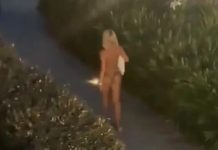 “ONA JE MONSTRUM”: Partner KRIŠOM snimio JOVANU JEREMIĆ usred noći! Ostao u ČUDU kad je video šta ona radi!!Srbija šokirana pogledajte ove prizore…. “ONA JE MONSTRUM”: Partner KRIŠOM snimio JOVANU JEREMIĆ usred noći! Ostao u ČUDU kad je video šta ona radi!!Srbija šokirana pogledajte ove prizore…. - featured image