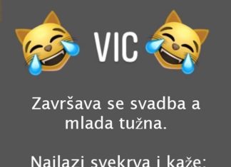 VIC DANA: Svekrva i snaja VIC DANA: Svekrva i snaja - featured image