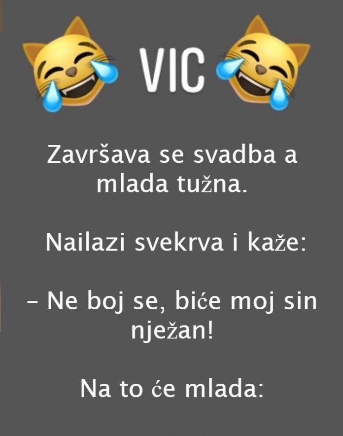 VIC DANA: Svekrva i snaja - featured image VIC DANA: Svekrva i snaja - featured image