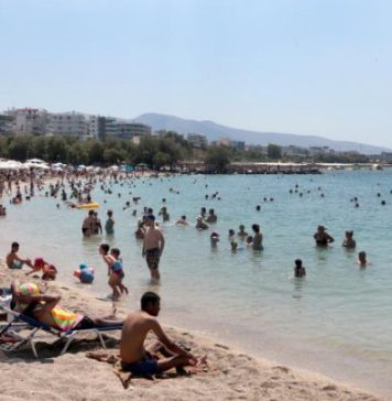 Horor na plažama u Grčkoj:! Srpski turisti u strahu: Ova strahota se pojavila na obali- Svi počeli da bježe glavom bez obzira (FOTO) Horor na plažama u Grčkoj:! Srpski turisti u strahu: Ova strahota se pojavila na obali- Svi počeli da bježe glavom bez obzira (FOTO) - featured image
