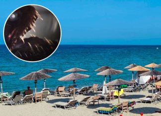 Dečak iz Srbije zgazio otrovno stvorenje na plaži u Grčkoj: “Toliko boli i brzo otiče da ne mogu da vam opišem” Dečak iz Srbije zgazio otrovno stvorenje na plaži u Grčkoj: “Toliko boli i brzo otiče da ne mogu da vam opišem” - featured image