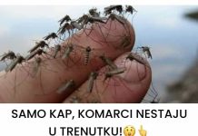 SAMO KAP, KOMARCI NESTAJU U TRENUTKU!😲👆 Komarci mrze ove mirise. Djeluju i u zatvorenom i na otvorenom! SAMO KAP, KOMARCI NESTAJU U TRENUTKU!😲👆 Komarci mrze ove mirise. Djeluju i u zatvorenom i na otvorenom! - featured image