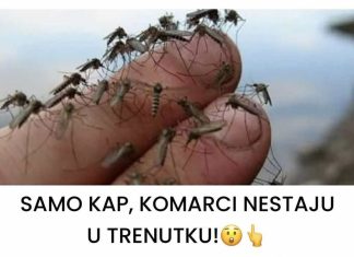 SAMO KAP, KOMARCI NESTAJU U TRENUTKU!😲👆 Komarci mrze ove mirise. Djeluju i u zatvorenom i na otvorenom! SAMO KAP, KOMARCI NESTAJU U TRENUTKU!😲👆 Komarci mrze ove mirise. Djeluju i u zatvorenom i na otvorenom! - featured image