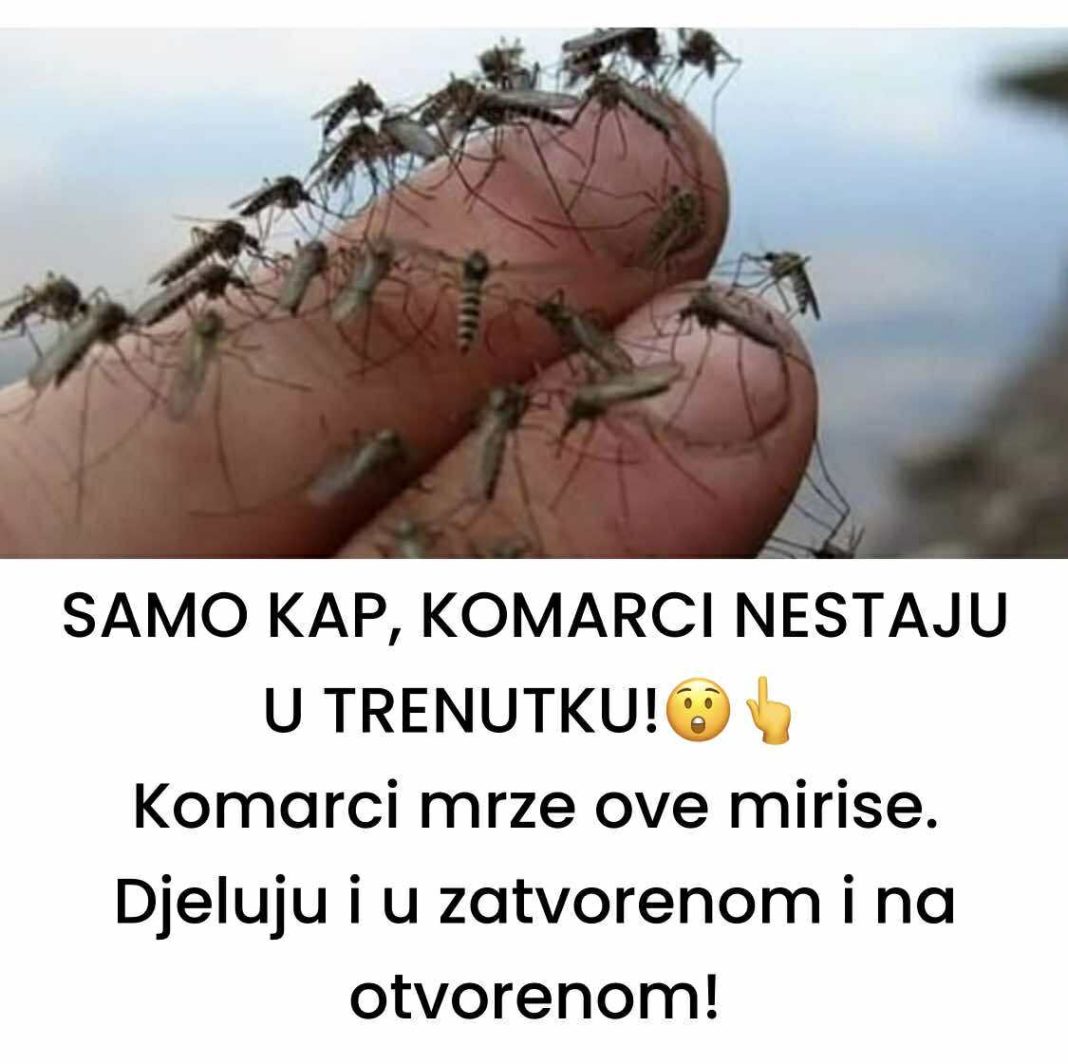 SAMO KAP, KOMARCI NESTAJU U TRENUTKU!😲👆 Komarci mrze ove mirise. Djeluju i u zatvorenom i na otvorenom! - featured image
