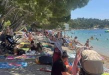 Strašno – Turisti u panici: Šta je ovo isplivalo iz mora? (FOTO) Strašno – Turisti u panici: Šta je ovo isplivalo iz mora? (FOTO) - featured image