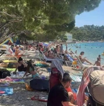 Strašno – Turisti u panici: Šta je ovo isplivalo iz mora? (FOTO) Strašno – Turisti u panici: Šta je ovo isplivalo iz mora? (FOTO) - featured image