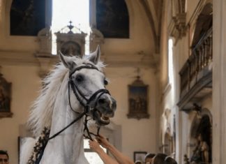 Tokom venčanja, nevestin konj iznenada je uleteo u crkvu i stao pravo ispred mlade žene, odbijajući da joj dozvoli da priđe oltaru. Životinja se ponašala toliko divlje da su gosti zahtevali da je odmah izvedu napolje, ne sluteći na kakvu opasnost konj zapravo pokušava da ih upozori 😨 Tokom venčanja, nevestin konj iznenada je uleteo u crkvu i stao pravo ispred mlade žene, odbijajući da joj dozvoli da priđe oltaru. Životinja se ponašala toliko divlje da su gosti zahtevali da je odmah izvedu napolje, ne sluteći na kakvu opasnost konj zapravo pokušava da ih upozori 😨 - featured image