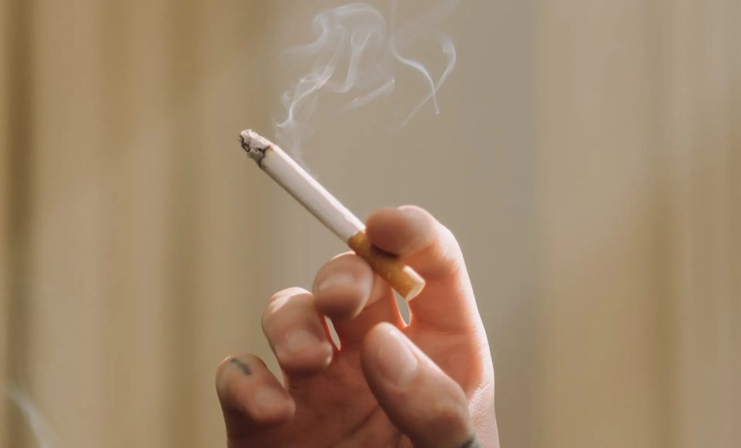 Samo jedna namirnica ima moć da preporodi pušače: Odlična je za srce i krvne sudove, bogata vitaminima i mineralima - featured image Samo jedna namirnica ima moć da preporodi pušače: Odlična je za srce i krvne sudove, bogata vitaminima i mineralima - featured image
