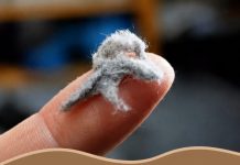 OVO JE JEDAN OD NAJPRLJAVIJIH PREDMETA U NAŠIM KUĆAMA, A TREBA DA BLISTA OD ČISTOĆE: Kad čujete šta je u pitanju, ZGROZIĆETE SE OVO JE JEDAN OD NAJPRLJAVIJIH PREDMETA U NAŠIM KUĆAMA, A TREBA DA BLISTA OD ČISTOĆE: Kad čujete šta je u pitanju, ZGROZIĆETE SE - featured image