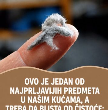 OVO JE JEDAN OD NAJPRLJAVIJIH PREDMETA U NAŠIM KUĆAMA, A TREBA DA BLISTA OD ČISTOĆE: Kad čujete šta je u pitanju, ZGROZIĆETE SE OVO JE JEDAN OD NAJPRLJAVIJIH PREDMETA U NAŠIM KUĆAMA, A TREBA DA BLISTA OD ČISTOĆE: Kad čujete šta je u pitanju, ZGROZIĆETE SE - featured image