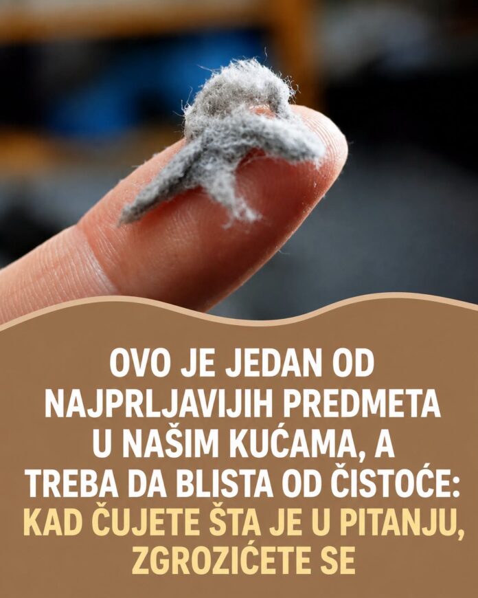 OVO JE JEDAN OD NAJPRLJAVIJIH PREDMETA U NAŠIM KUĆAMA, A TREBA DA BLISTA OD ČISTOĆE: Kad čujete šta je u pitanju, ZGROZIĆETE SE - featured image OVO JE JEDAN OD NAJPRLJAVIJIH PREDMETA U NAŠIM KUĆAMA, A TREBA DA BLISTA OD ČISTOĆE: Kad čujete šta je u pitanju, ZGROZIĆETE SE - featured image