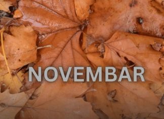 Od novembra kreće njihovo zlatno doba: 3 znaka ulaze u period kakav se čeka cijeli život Od novembra kreće njihovo zlatno doba: 3 znaka ulaze u period kakav se čeka cijeli život - featured image
