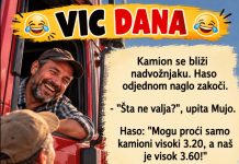 VIC DANA: Kamiondžije VIC DANA: Kamiondžije - featured image
