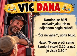VIC DANA: Kamiondžije VIC DANA: Kamiondžije - featured image