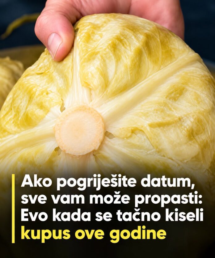 Ako pogriješite datum, sve vam može propasti: Evo kada se tačno kiseli kupus ove godine - featured image